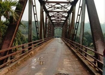 Bridge built to last 100 years already showing cracks