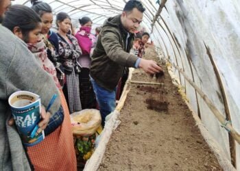World Pulses Day held in Namdong