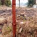 Corroded electric poles pose danger to East Jaiñtia villages