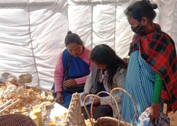 Rs 200 cr spent as financial assistance to SHGs