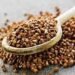 Meghalaya targets increase in buckwheat production