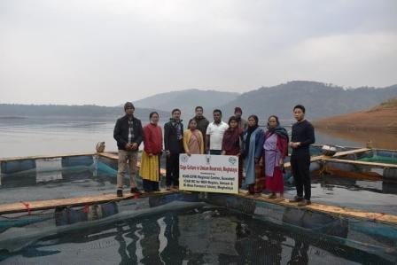 ICAR bats for ‘cage culture’ fisheries