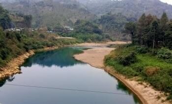 Lukha no more blue thanks to algae solution