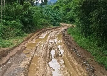 Work on Sonapur-Borkhat road to commence in April