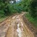 Work on Sonapur-Borkhat road to commence in April