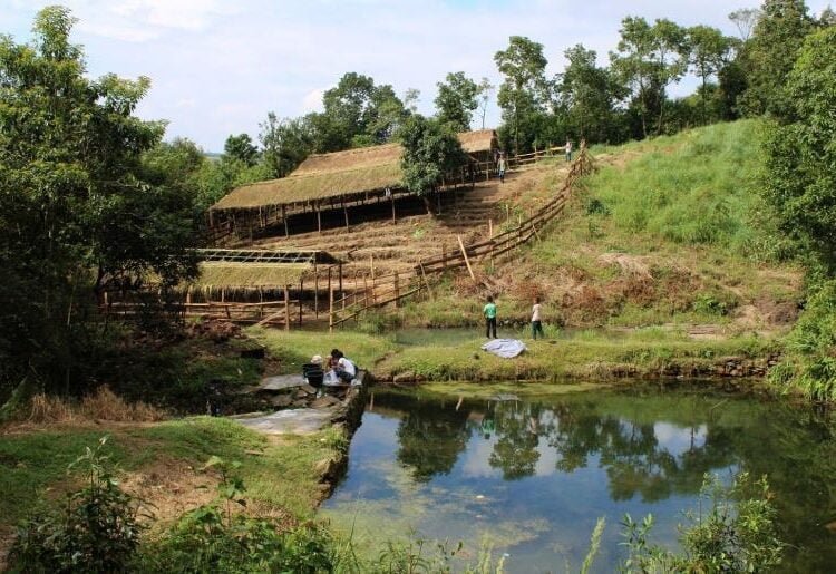 Community nursery in Tluh raises 10k local specie saplings