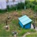 Sohkhyllam on the path of regeneration with afforestation, spring chamber