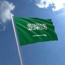 Saudi Arabia says it has executed 81 convicts in single day