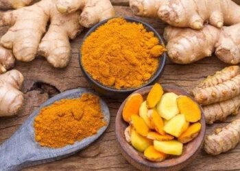 Budget boost to turmeric, ginger, spice cultivations