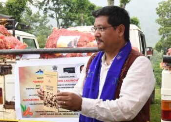 Ginger Mission rolled out in Garo Hills