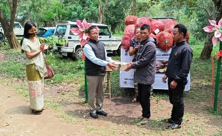 69 village clusters to implement Ginger Mission in State