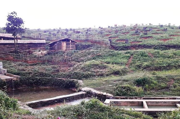 Coal mining ravaged village revives perennial spring