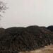 45,000 tons of illegal coal seized in East Jaiñtia Hills