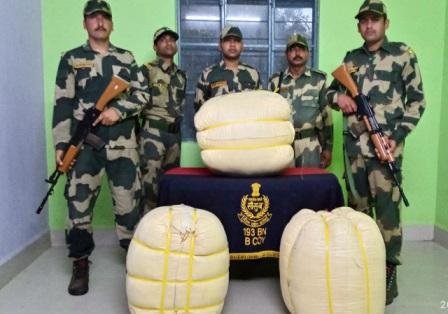 BSF Seizes Human Hair Bound For Bangladesh | Highland Post