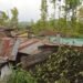 Several homes damaged in heavy storm in Ri-Bhoi