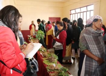Community seed fair exchange held in Sohmynthing