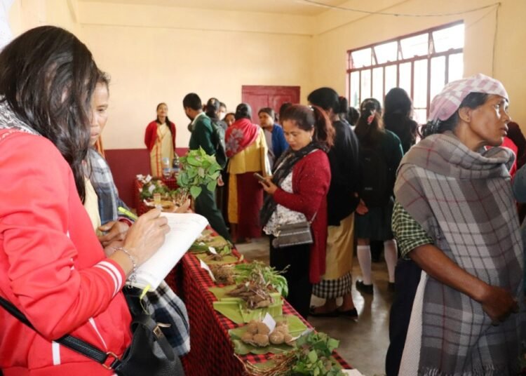 Community seed fair exchange held in Sohmynthing