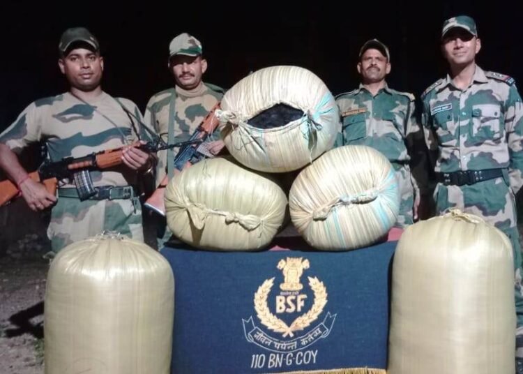 225 kg human hair seized by BSF since Jan