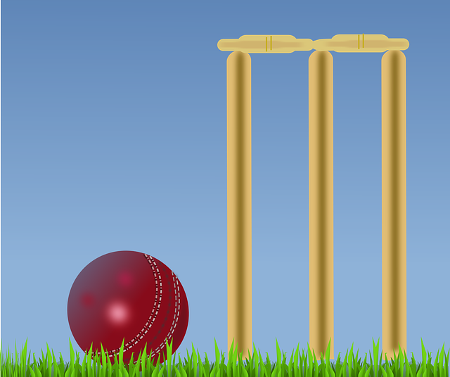 Senior Women’s T20 League: Meghalaya go down to mighty Maharashtra