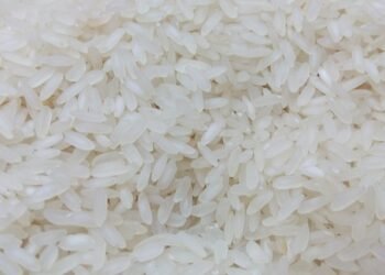 Union cabinet approves supply of fortified rice in all ration shops