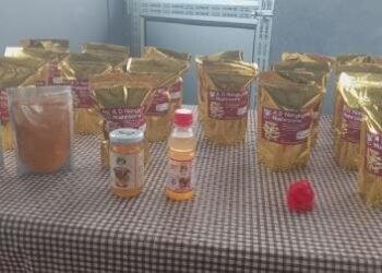 6 SHGs receiving training on income generation