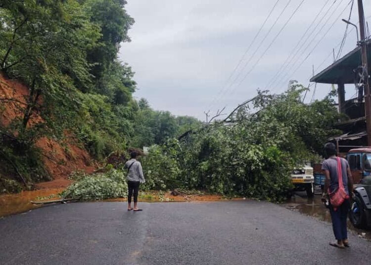 16000 people affected since April