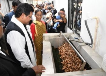 Meghalaya begins ‘indigenous extraction’ of curcumin