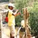 Man invents hand pump to help nursery keepers