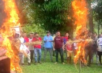 HYC, border residents burn effigies of CM, Dy CM against border pact
