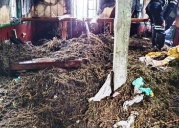 Fire at Tyrsad home reveals ganja den, one arrested