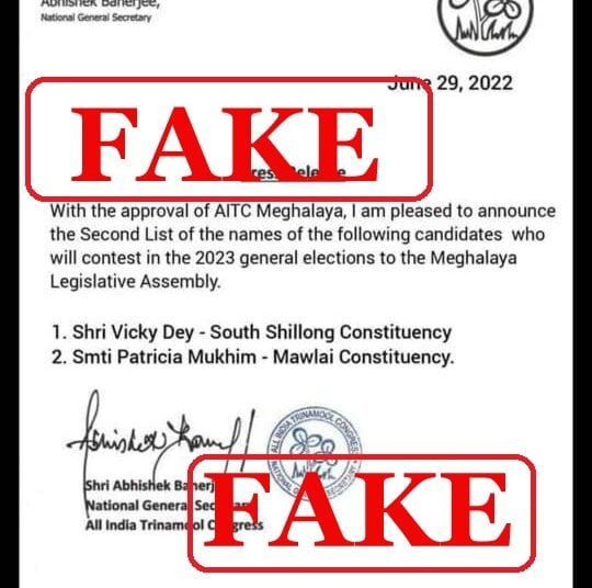 MEPA flays troll against Patricia