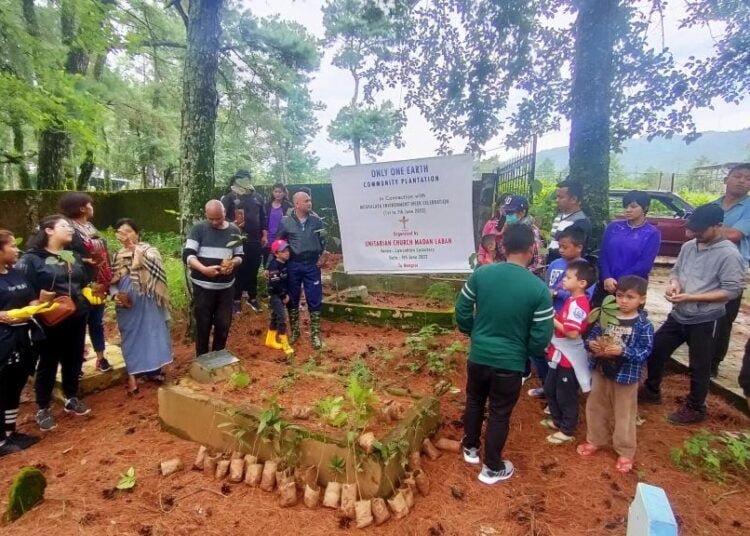 Environment Day sees tree planting drives in State