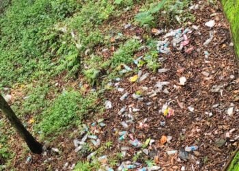 Citizen raises stink over GHADC litter