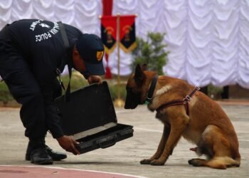 12 dogs inducted to K-9 Squad of Meghalaya Police