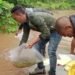 25000 fish fingerlings released in Umtrew