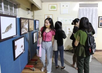 MLCU seminar considers geodiversity, biodiversity & cultural assets
