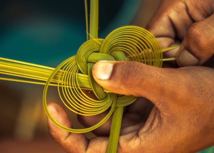 Fellowship programme to upscale rural enterprises in Meghalaya