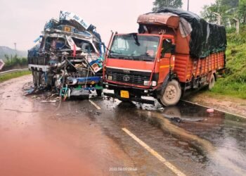 2 die in double truck collision
