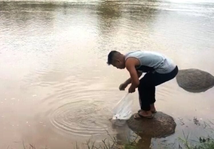 RBYF releases fish fingerlings into Umiam River