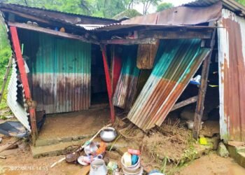 Woman killed in house collapse due to heavy rain