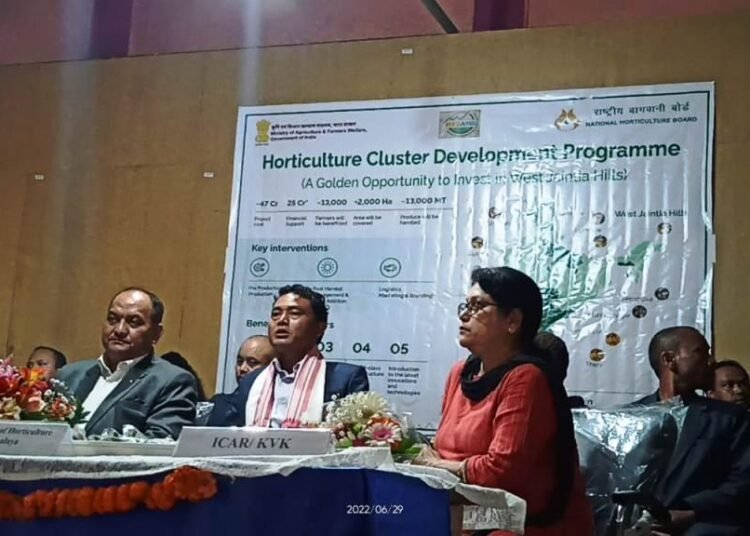 Centre’s CDP for Lakadong starts in West Jaiñtia Hills