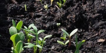 Farmers attend campaign on use of nanofertilizers