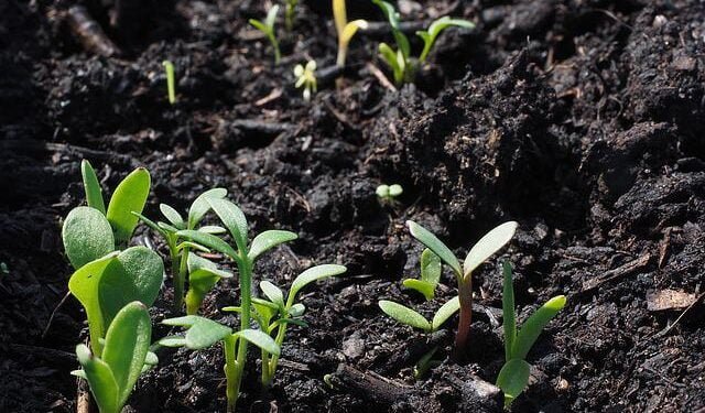 Farmers attend campaign on use of nanofertilizers