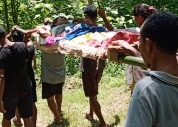Villagers carry sick woman on stretcher due to lack of proper road
