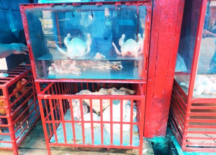 Training programme for poultry sellers