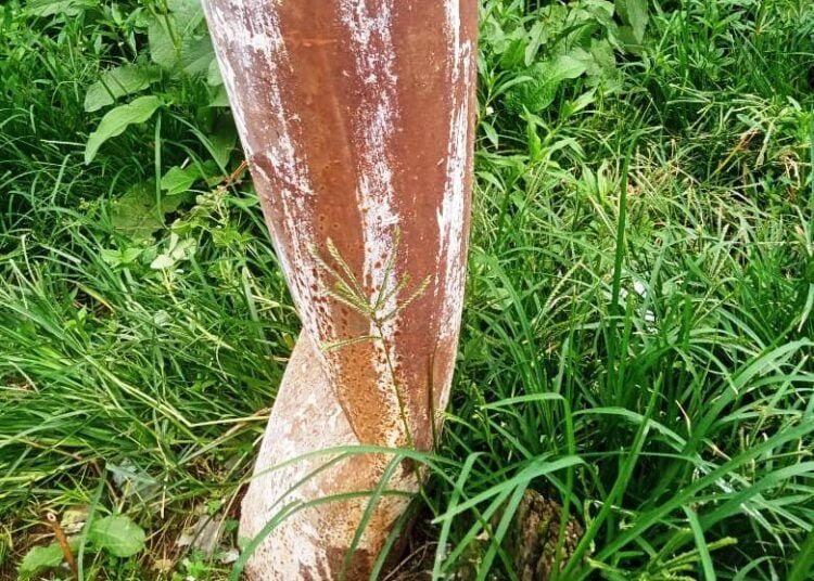 ‘MeECL charged Rs 60K for damaged pole but never replaced it’