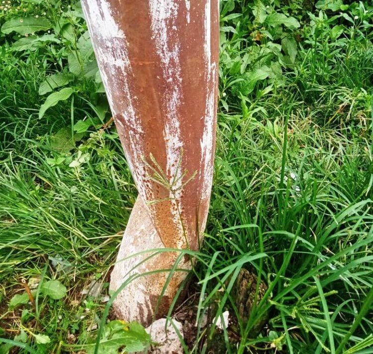 ‘MeECL charged Rs 60K for damaged pole but never replaced it’