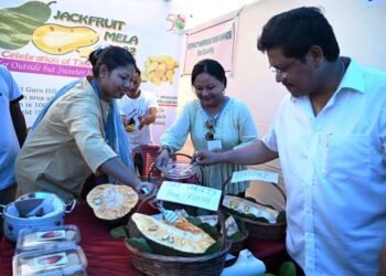 Jackfruit has potential to become Rs 1000 crore industry: CM