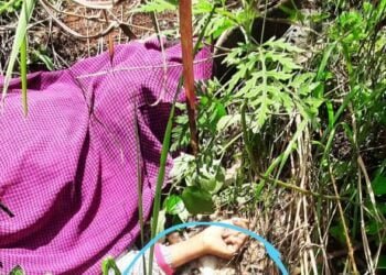 Teenager electrocuted, two injured in Umiam