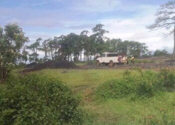 Moolang farmer demands compensation from coal miner for loss of land